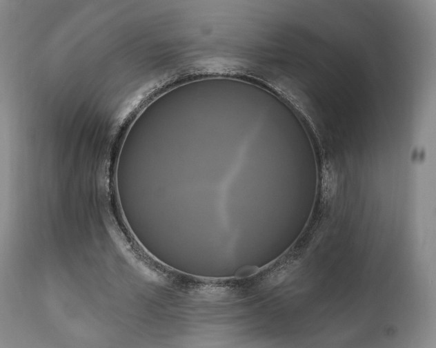 X0000111220581200907021337