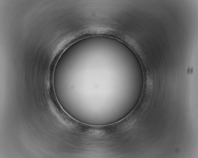 X0000111220582200907021337