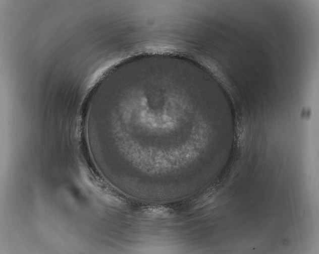 X0000111220583200907021337