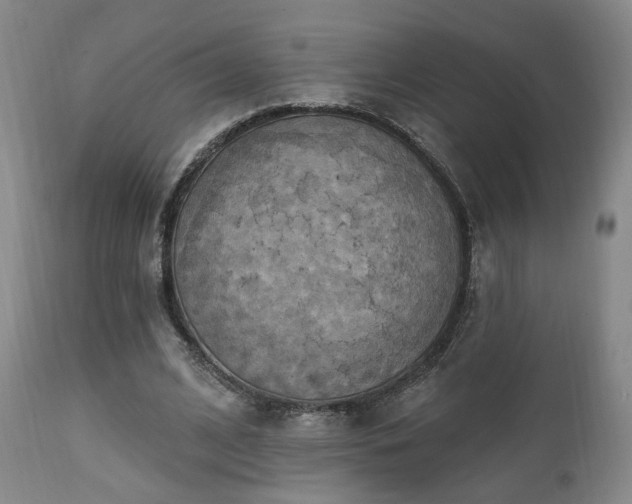 X0000111220584200907021337