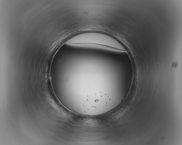 X0000111220585200907021337