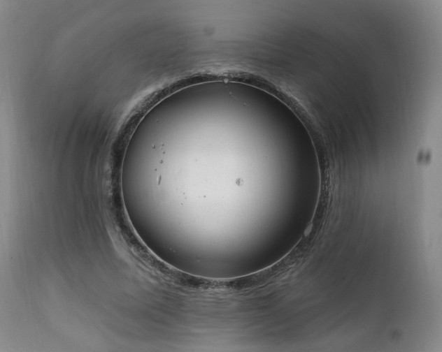 X0000111220587200907021337