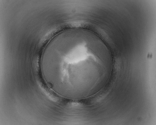 X0000111220590200907021337