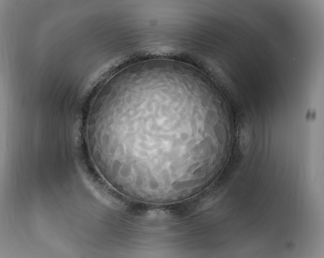 X0000111220591200907021336