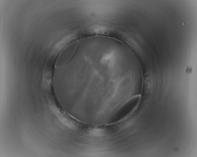 X0000111220593200907021336
