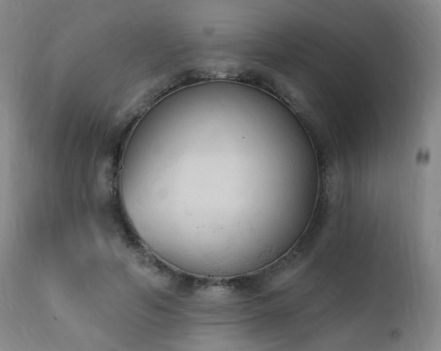 X0000111220594200907021336