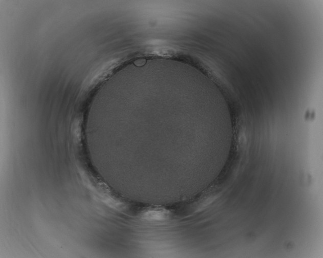 X0000111220595200907021336