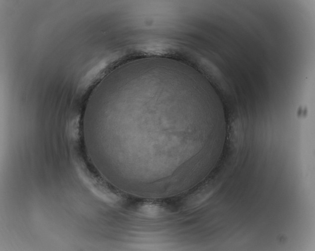 X0000111220596200907021336