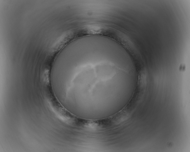 X0000111220598200907021336