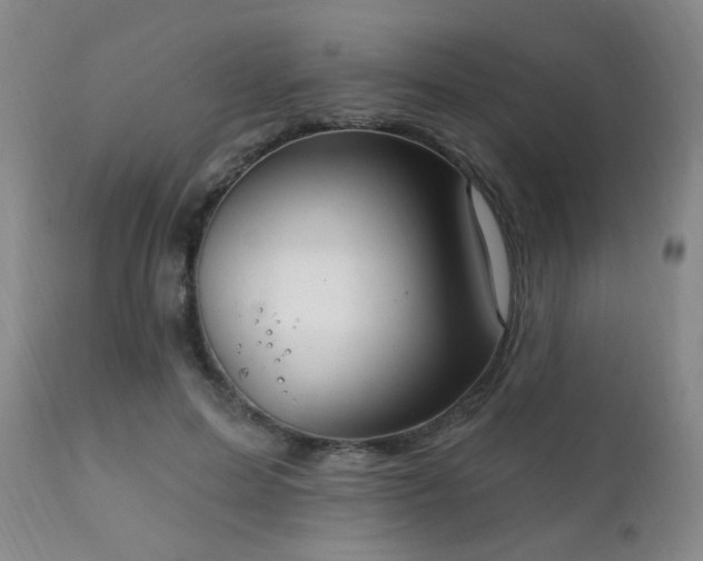X0000111220599200907021336