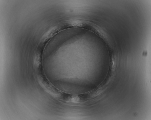 X0000111220600200907021336