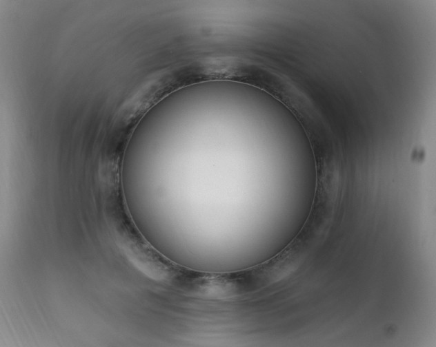 X0000111220601200907021336
