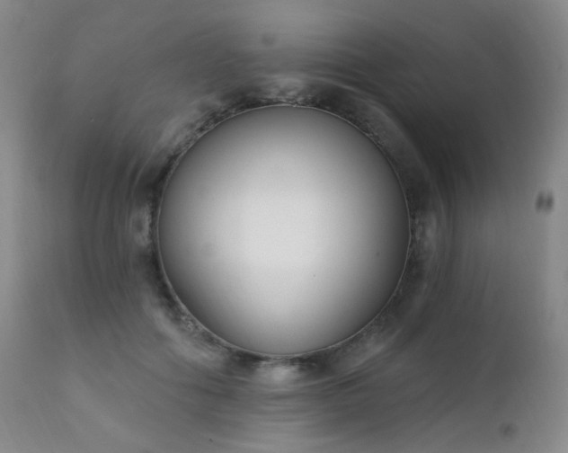 X0000111220602200907021336