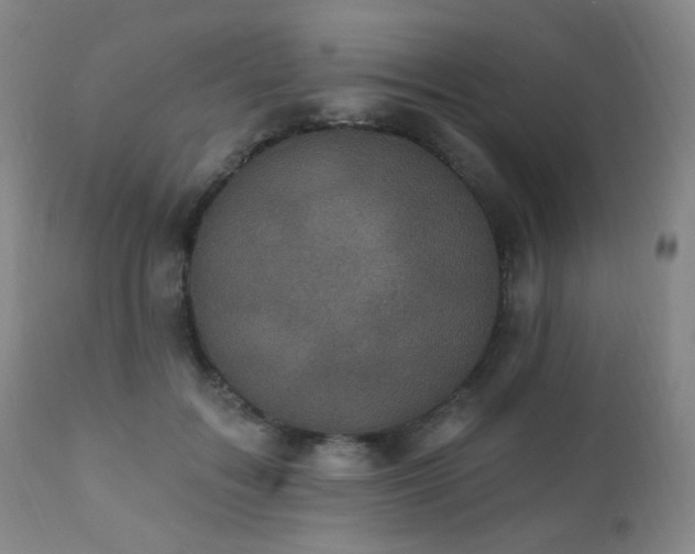X0000111220603200907021336