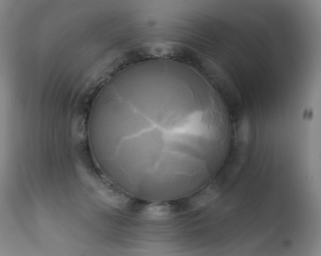 X0000111220606200907021336