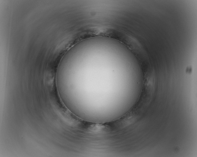 X0000111220607200907021336