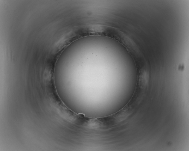 X0000111220608200907021336