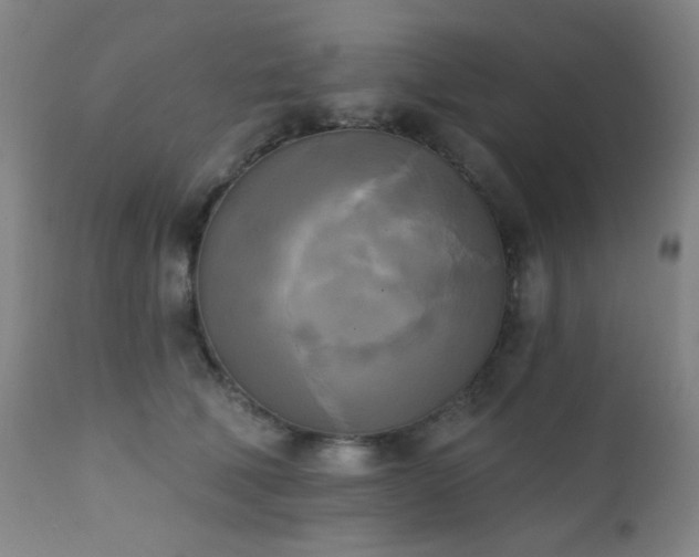 X0000111220610200907021336