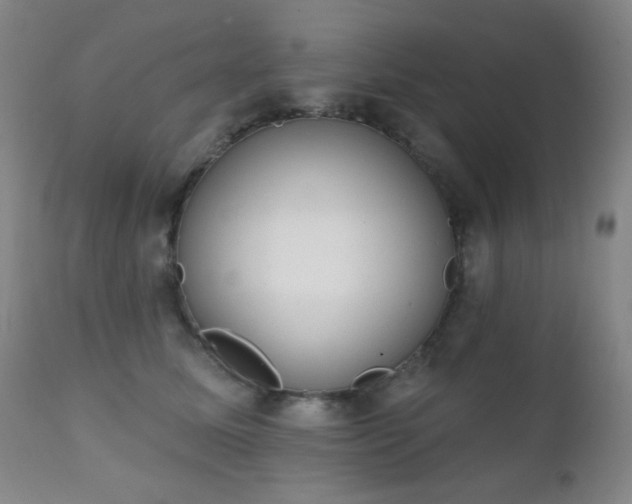 X0000111220611200907021336