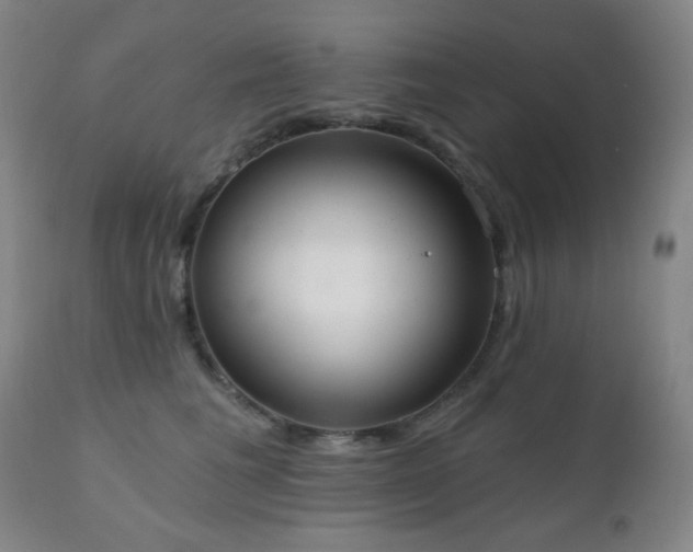 X0000111220613200907021336
