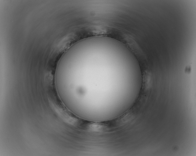 X0000111220614200907021336
