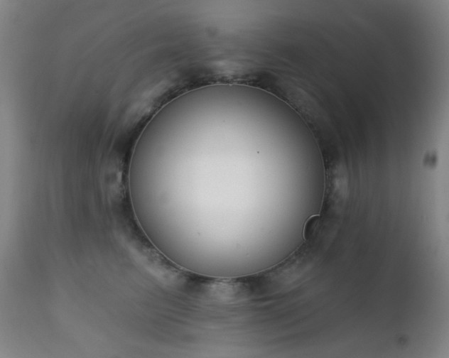 X0000111220615200907021336