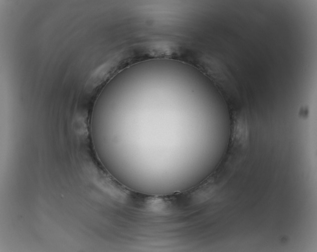 X0000111220616200907021336