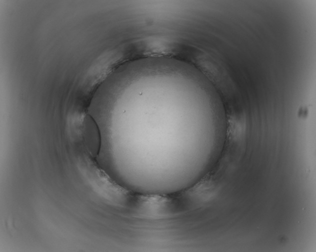 X0000111220621200907021336