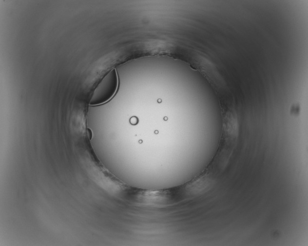 X0000111220622200907021336