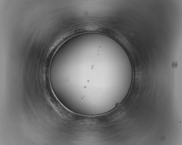 X0000111220626200907021335
