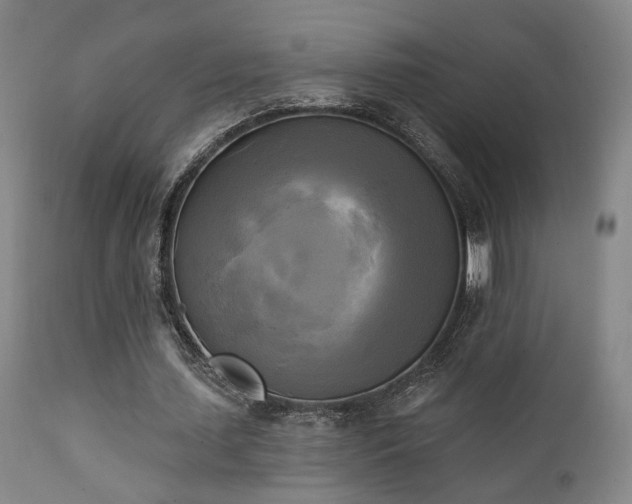 X0000111220627200907021335