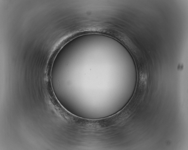 X0000111220628200907021335