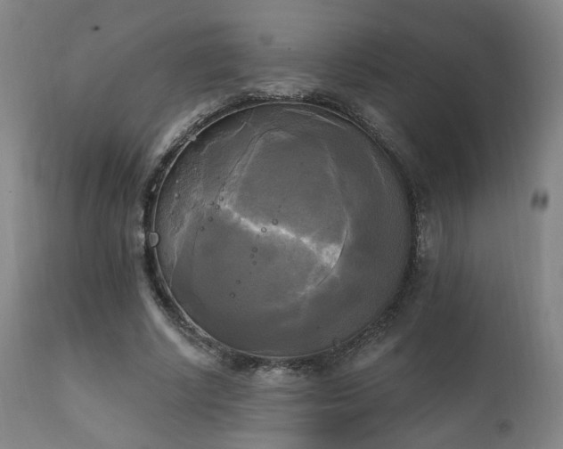 X0000111220634200907021336