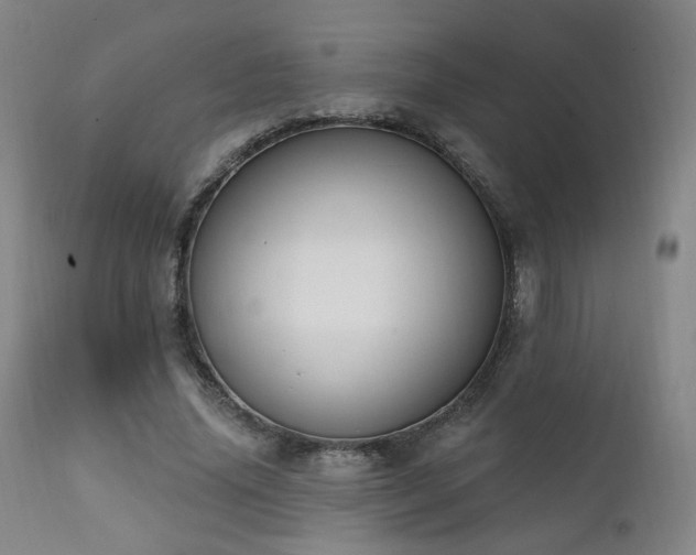 X0000111220636200907021336