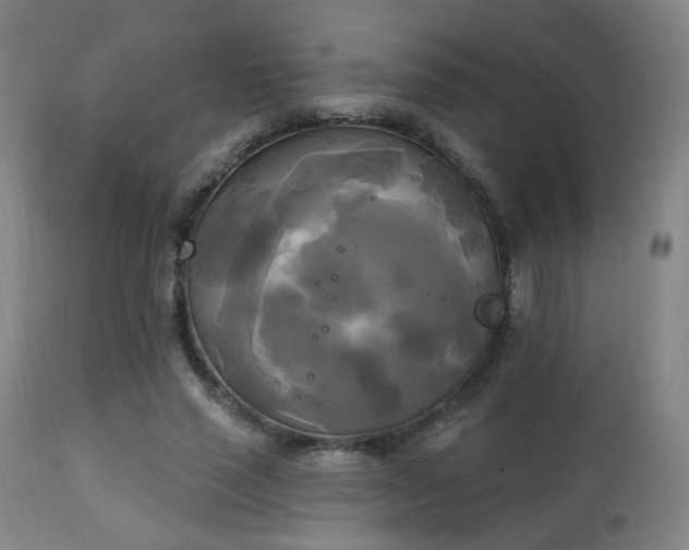 X0000111220637200907021336