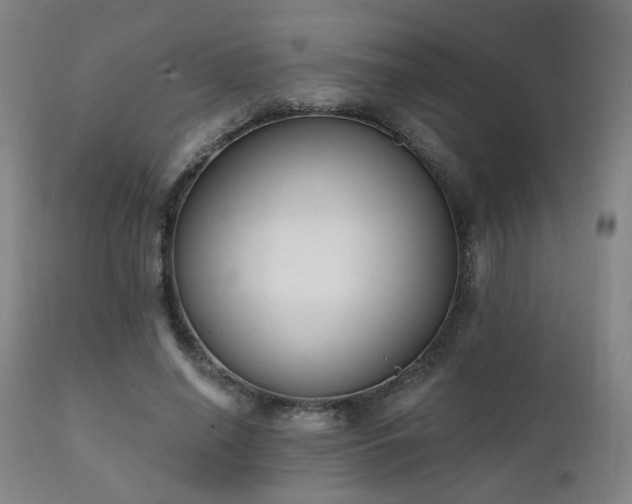 X0000111220638200907021336