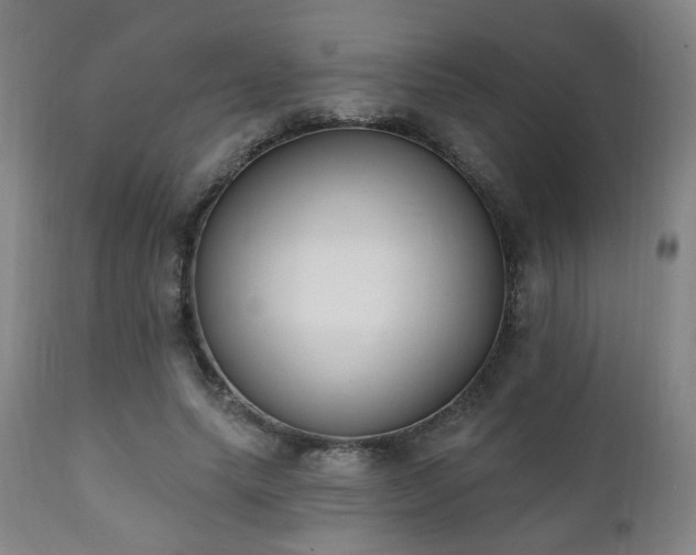 X0000111220639200907021336