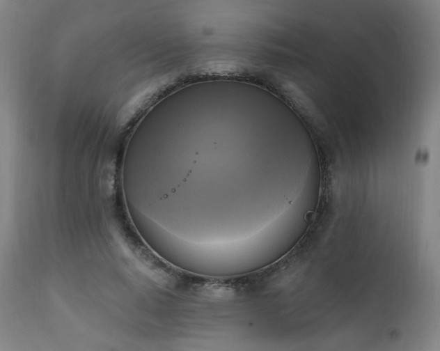 X0000111220640200907021336