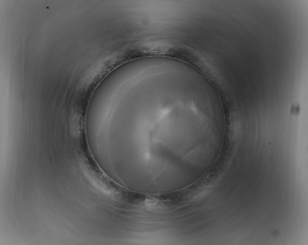 X0000111220641200907021336