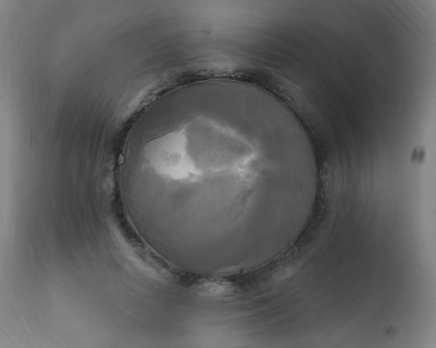 X0000111220642200907021336