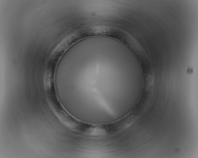 X0000111220644200907021336