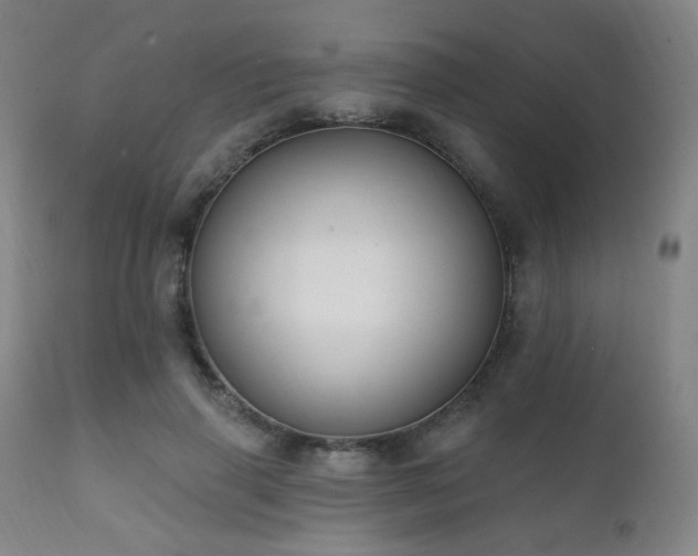 X0000111220645200907021336