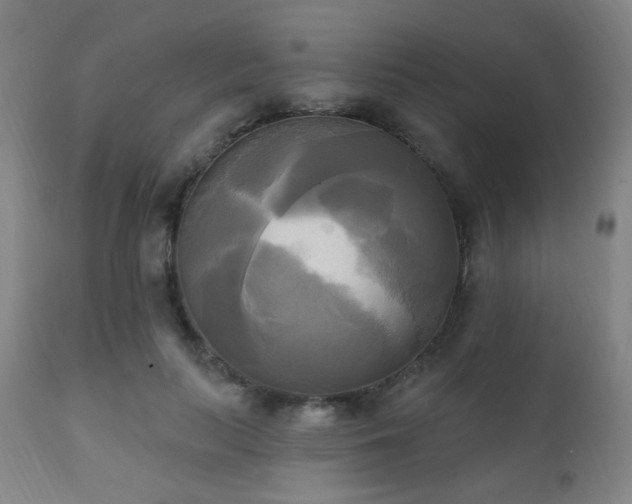 X0000111220647200907021336