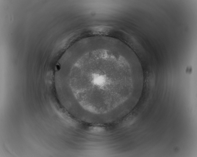 X0000111220649200907021336