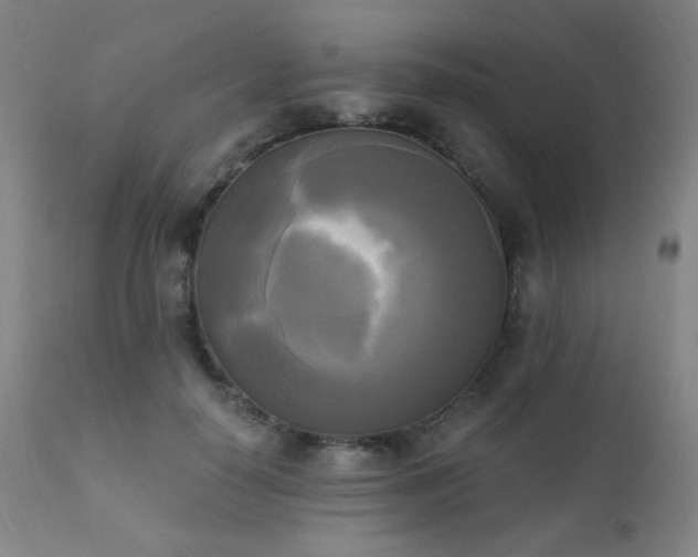 X0000111220650200907021336