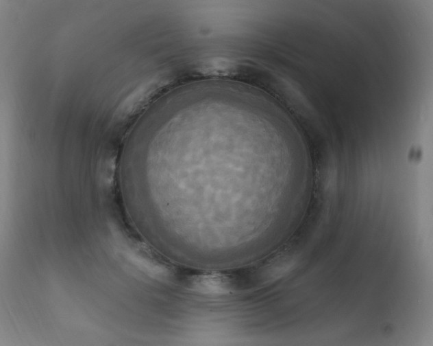 X0000111220652200907021336