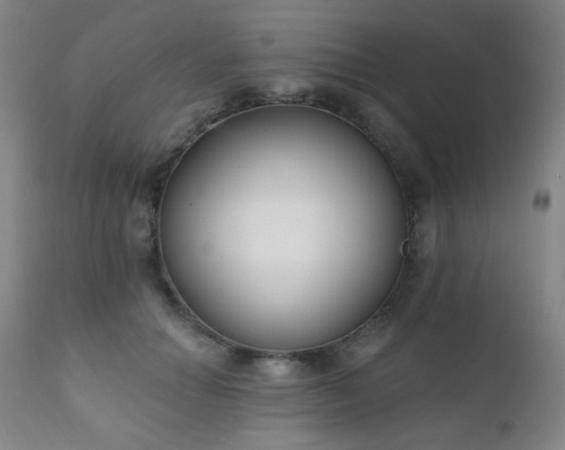 X0000111220654200907021336