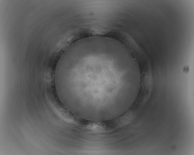 X0000111220655200907021336