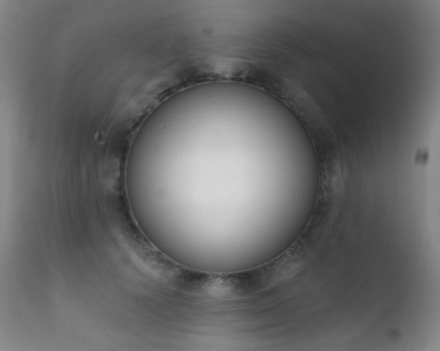 X0000111220656200907021336