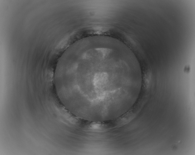 X0000111220657200907021336